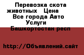 Перевозка скота животных › Цена ­ 39 - Все города Авто » Услуги   . Башкортостан респ.